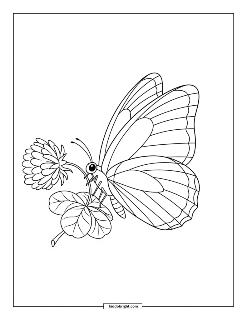 Butterfly coloring pages free download
