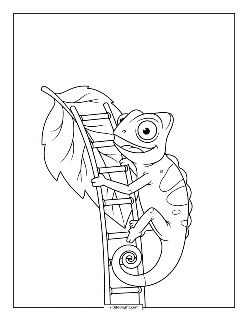 Chameleon coloring pages free download