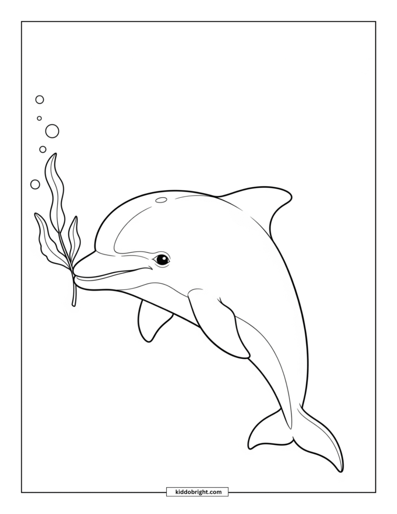 Dolphin coloring pages for kids free download