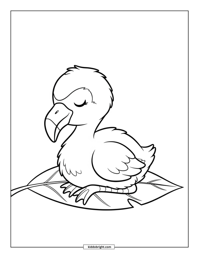 Flamingo coloring pages for kids free download
