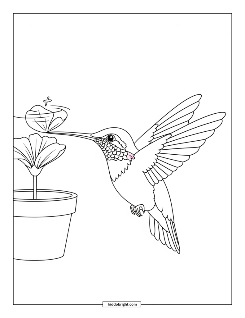 Hummingbird coloring pages for kids free download