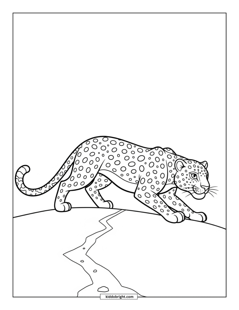 Leopard coloring pages for kids free download