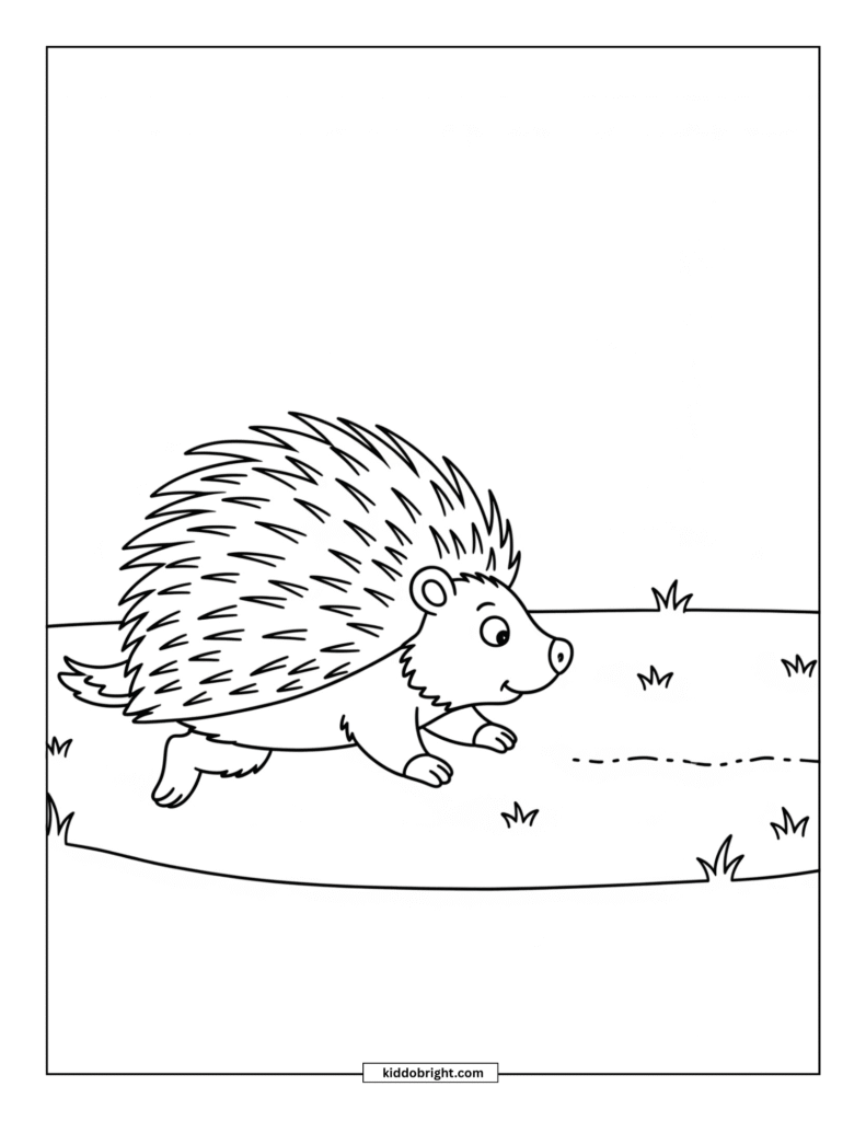 Porcupine coloring pages for kids free download