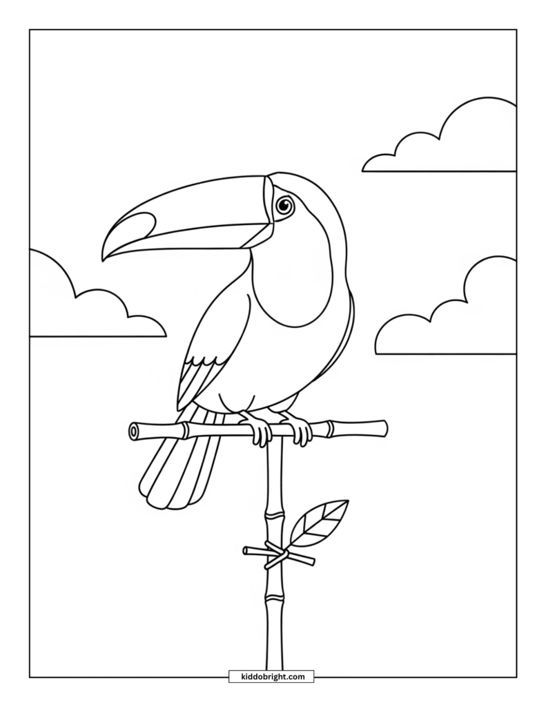 Toucan coloring pages for kids free download