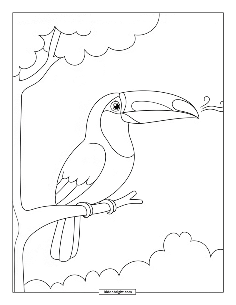Toucan coloring pages for kids free download