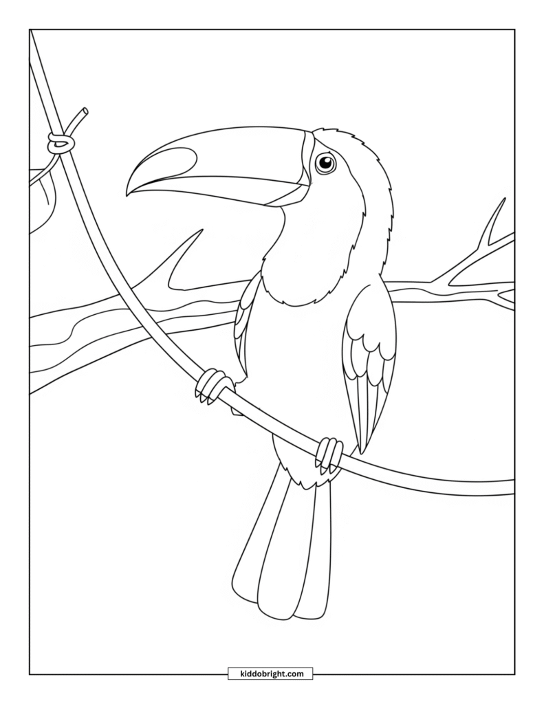 Toucan coloring pages for kids free download